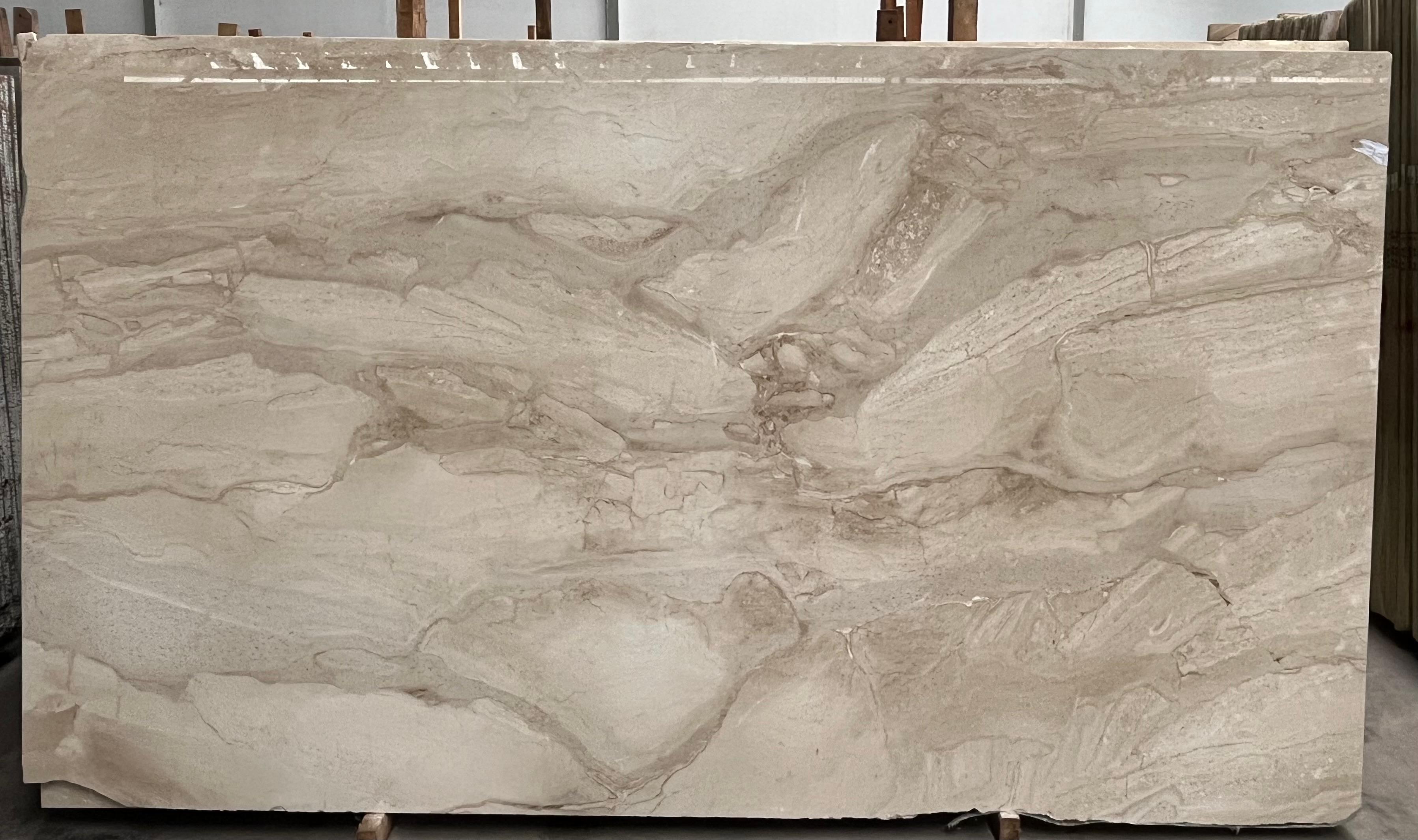 Imported Marble - 23 | Daino Light